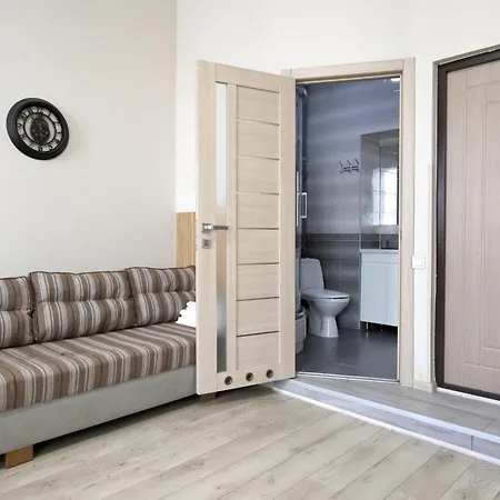 Doroshenka 25 Apartment Lviv